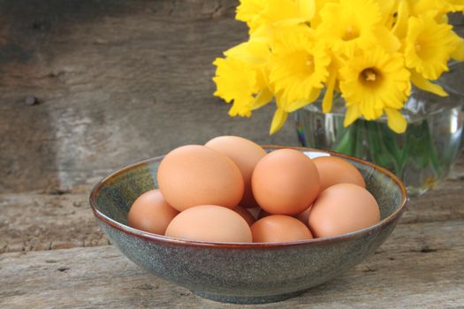 Bowl of brown eggs ready to be cooked or colored for Easter.  An arrangement of daffodils in the background and room for copy space.