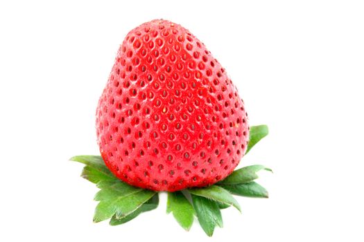 One strawberry isolated on a white background with copy space.