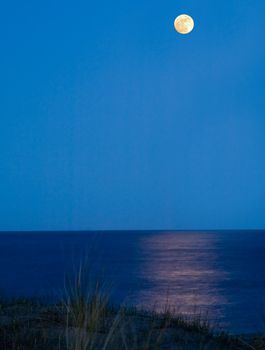 Full moon reflecting in a calm sea