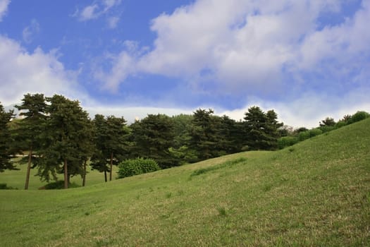 Green grass meadow and blue sky with clouds