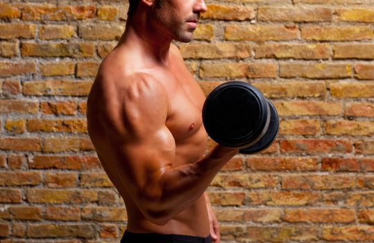 muscle shaped body man with weights on brick wall gym