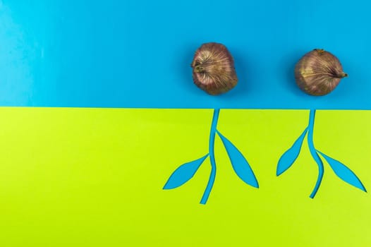 paper flowers and seedlings on blue and green background