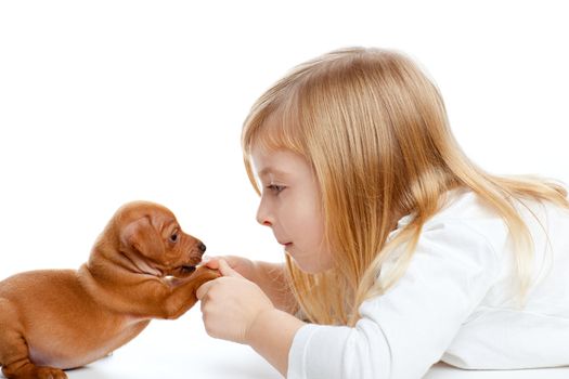 Blond children girl with dog puppy mascot mini pinscher on white background