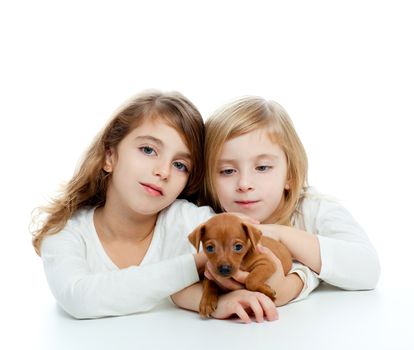 sister kid girls and puppy mascot pet mini pinscher on white background