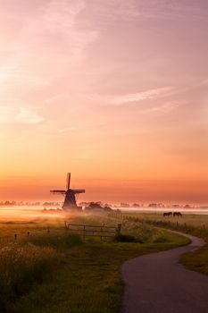 windmill and horses on summer pasture at sunrise, Groningen
