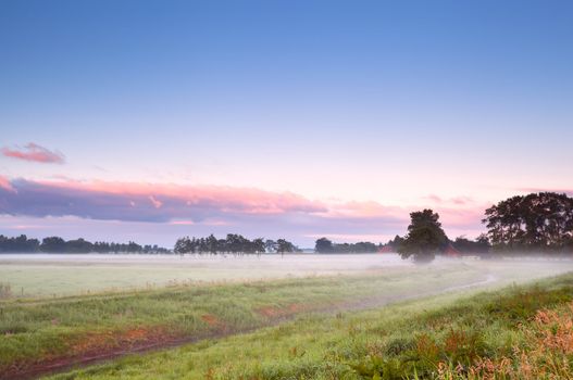 fog over summer meadow in sunrise, Drenthe