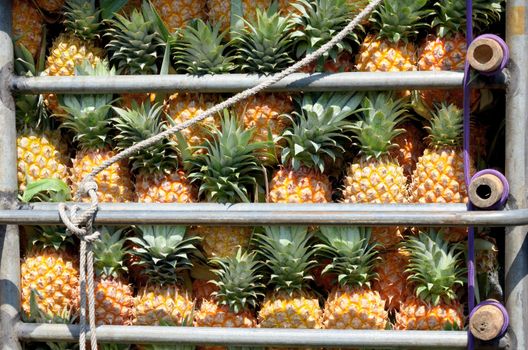 Pineapple in truck, Fruit concept