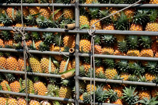 Pineapple in truck, Fruit concept