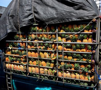 Pineapple in truck, Fruit concept
