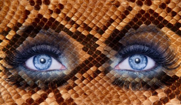 blue fashion makeup eyes snake skin texture animal wildlife metaphor