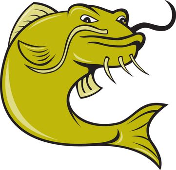 illustration of angry catfish done in cartoon style on isolated white background.