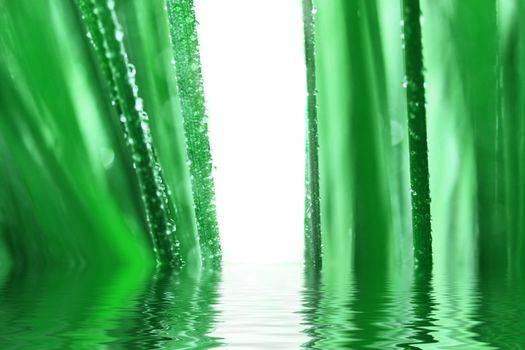 Green grass background with water drops 