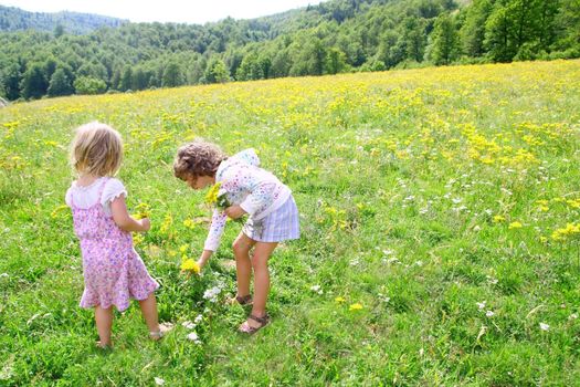 sister girls in meadow playing with spring flowers outdoor