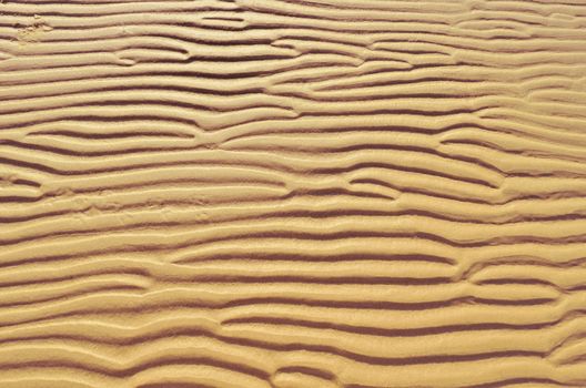 Wavy relief on the sandy beach of the seacoast