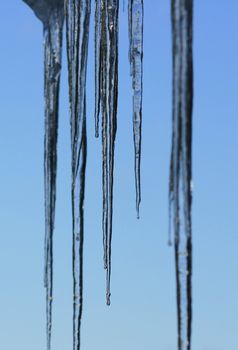 long icicles, with blue sky background