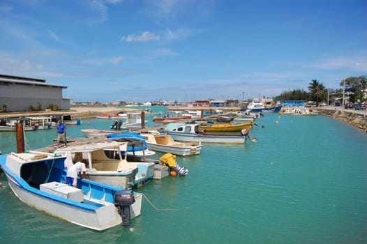 Boats at marina in capital of Tonga