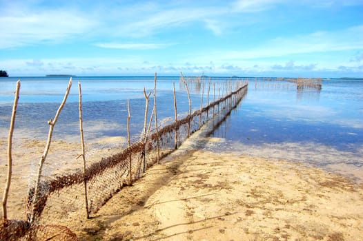 Fishing net at South Pacific, Kingdom of Tonga