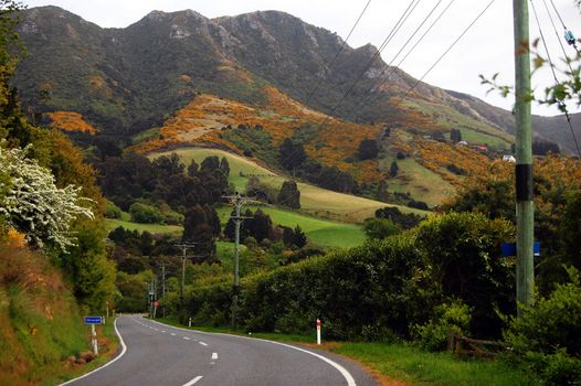 Town road mountain view, New Zealand