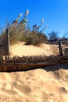 Sand dunes with animal prints and wooden fence with sea grass