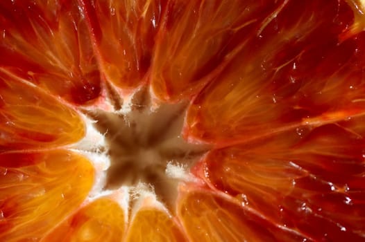 A closeup of a red orange