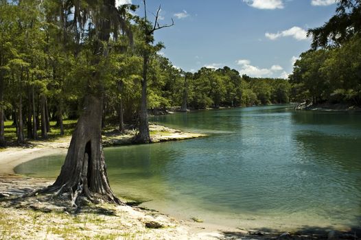 The beach on the Santa Fe River near Branford, Florida