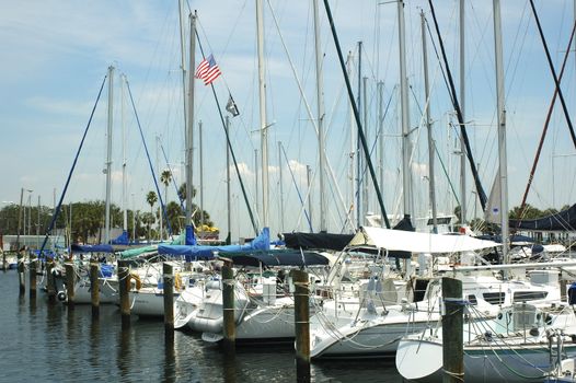 Yachts lined up at the Municipal Marina in St. Petersburg, Florida.