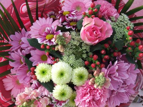 Close up on a spray of mainly pink flowers