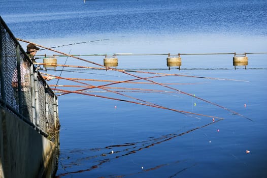 Fishing poles draped over the fence by the edge of the dam spillway at Lake Rousseau in Florida.