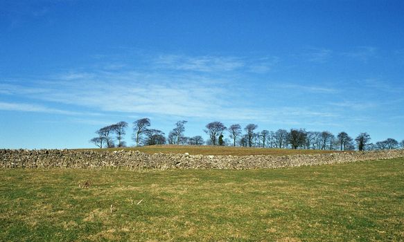 dry stone wall in dovedale