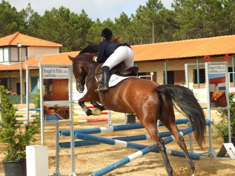 Competition of horse jumping
