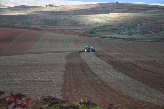 farmer ploughing fields, emphasis on fields, La Rioja, Spain