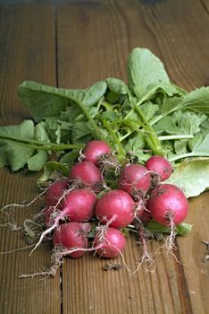 Bunch of fresh radishes from the garden on wooden surface