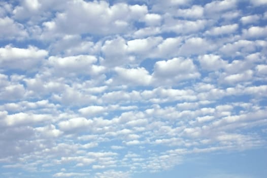 Altocumulus clouds on a beautiful spring day in Florida.