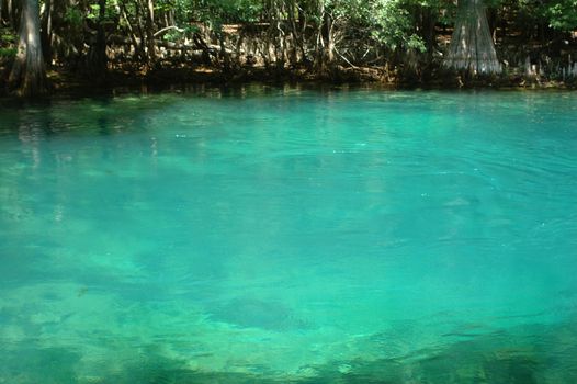 The spring boil at Manatee Springs State Park in Chiefland, Florida.