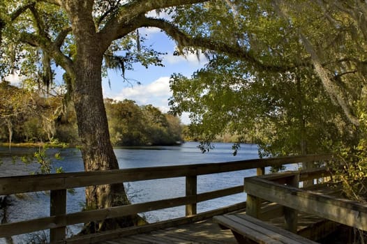 The peaceful boardwalk on the Suwannee River