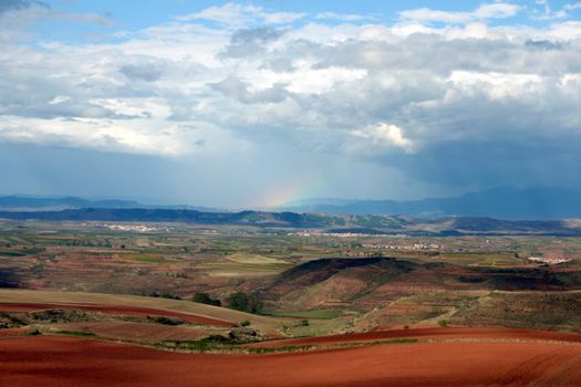 typical landscape of the spanish rioja region