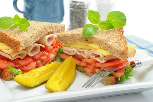 Healthy sandwich of sliced chicken breast, tomatoes and cheese.
