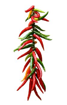 Red hot pepper as a necklace on a green background