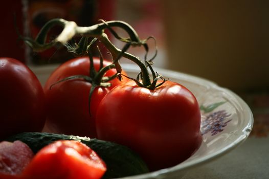 Tomatoes and cucumbers on a plate covered by the sun