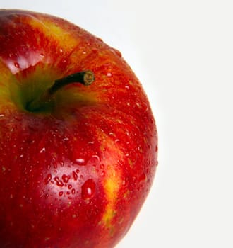 Red apple in drops close-up on a white background