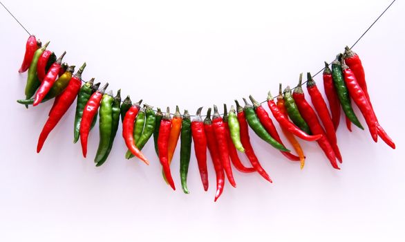 Red hot pepper as a necklace on a white background