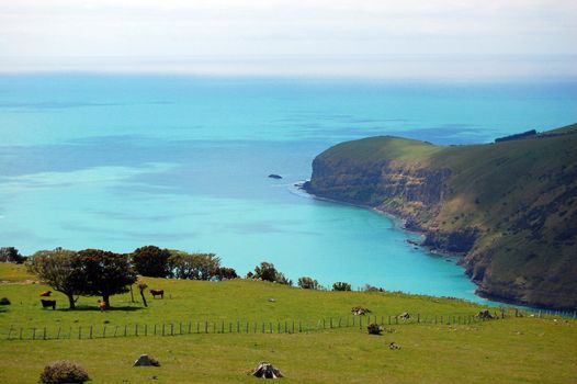 Sea bay view rural area, Banks Peninsula, New Zealand