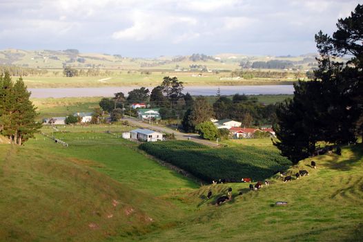 Hill view farm rural area, Dargaville, New Zealand