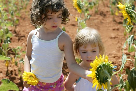 Beautiful little girl in a summer sunflower colorful field