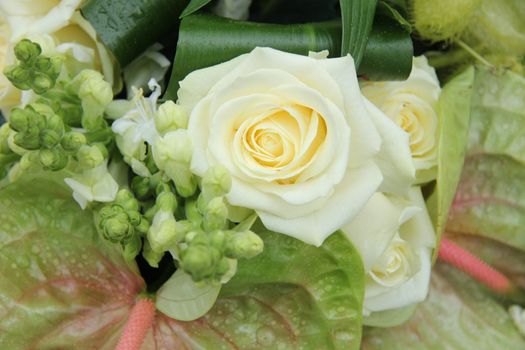 Soft green anthurium and white roses in a flower arrangement