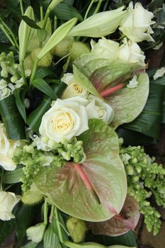 Soft green anthurium and white roses in a flower arrangement
