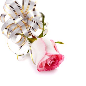 Pink rose. Rose on a white background. Pink flower. Rose with a bow. Flower as a gift. Flower for a holiday.