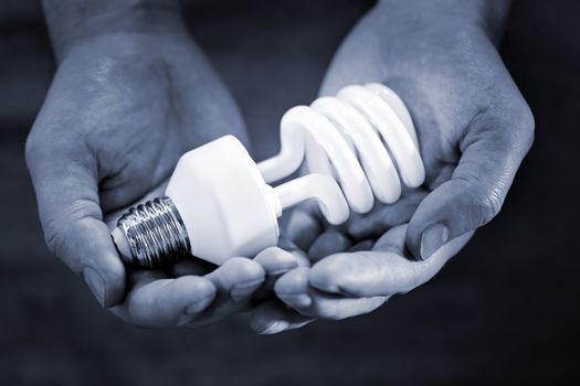 Blue toned monochrome image of hands holding a compact fluorescent bulb. Very short depth-of-field.