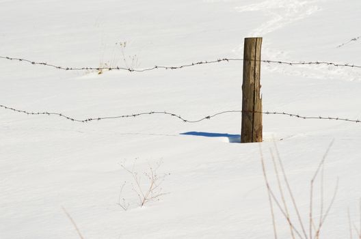 Barbed wire on a fence in the winter in the meadow