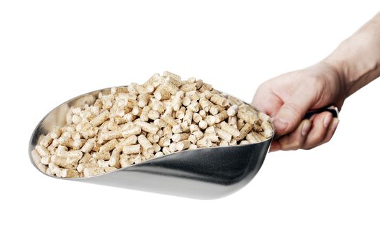 Man holding a metallic scoop full of wood pellets. Wood pellets made from industrial wood waste and are used for fuel.